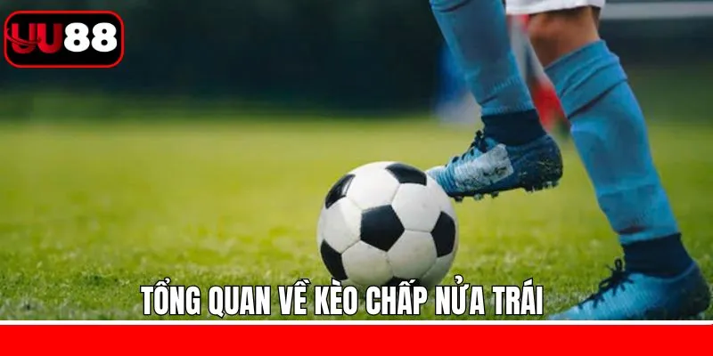Kèo chấp nửa trái là gì? Kèo chấp nửa trái là gì?